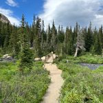 Colorado 14