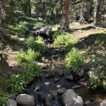 Colorado 19