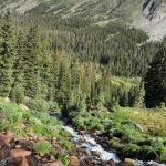 Colorado 41