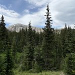 Colorado 9