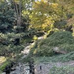 Creek at Lewis Ginter Botanical Garden