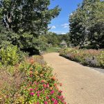 Flowers at Lewis Ginter Botanical Garden 2