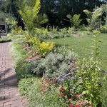 Flowers at Lewis Ginter Botanical Garden 4