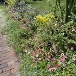Flowers at Lewis Ginter Botanical Garden 5