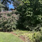 Flowers at Lewis Ginter Botanical Garden 7