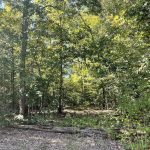Hickory Hill 11