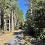 Hickory Hill 2