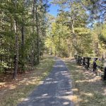 Hickory Hill 3