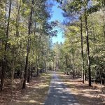 Hickory Hill 4