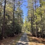 Hickory Hill 6