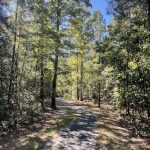Hickory Hill 7