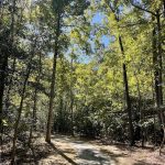 Hickory Hill 8