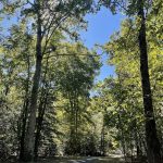 Hickory Hill 9