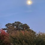Moon 2