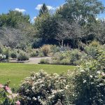 Rose Garden at Lewis Ginter Botanical Garden