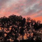 Sunset in Mechanicsville, Virginia 10