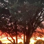 Sunset in Mechanicsville, Virginia 14