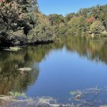 Kings Charter Lake