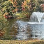 Lake in Tangle Oaks Subdivision