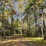 Walking Trail in Giles Subdivision 3