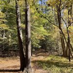 Walking Trail in Giles Subdivision 9