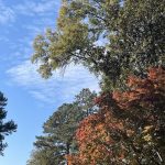 Hanover, Virginia in the Fall 17