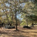 Hanover, Virginia in the Fall 2