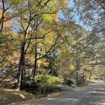 Hanover, Virginia in the Fall 23