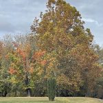 Hanover, Virginia in the Fall 5