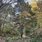 Lewis Ginter Botanical Garden 14