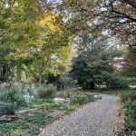 Lewis Ginter Botanical Garden 19