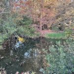 Lewis Ginter Botanical Garden 5
