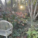 Lewis Ginter Botanical Garden 7