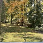 My Yard 15