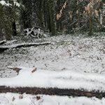 My Yard 5