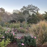 Rose Garden at Lewis Ginter Botanical Garden