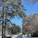 Snow in Hanover, Virginia 13