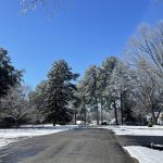 Snow in Hanover, Virginia 21
