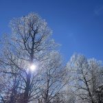 Snow in Hanover, Virginia 28