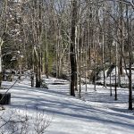 Snow in Hanover, Virginia 30