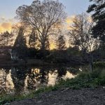 Sunset at Lewis Ginter Botanical Garden 2