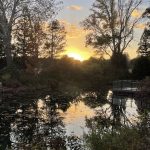 Sunset at Lewis Ginter Botanical Garden 3
