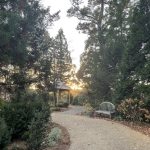 Sunset at Lewis Ginter Botanical Garden 4