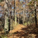 Joseph Bryan Park 10