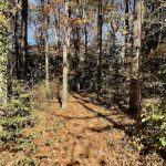 Joseph Bryan Park 11
