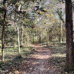 Joseph Bryan Park 13