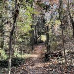 Joseph Bryan Park 15