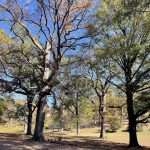 Joseph Bryan Park