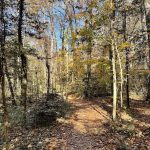 Joseph Bryan Park 17