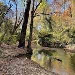 Joseph Bryan Park 20